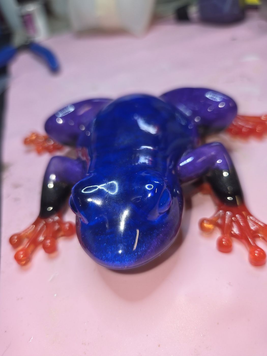 Translucent blue tree frog with orange feet