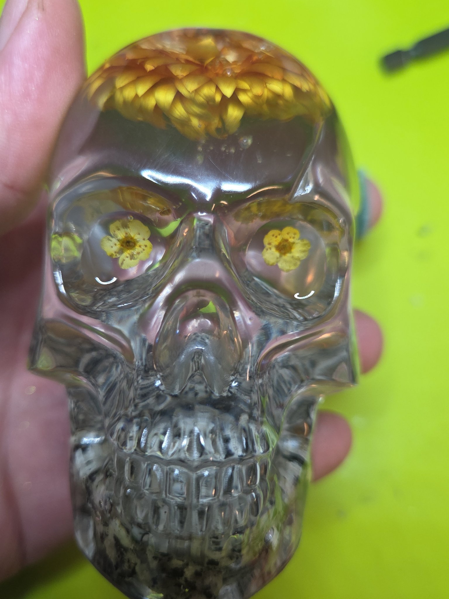 Large clear resin skull with yellow dried flowers for eyes