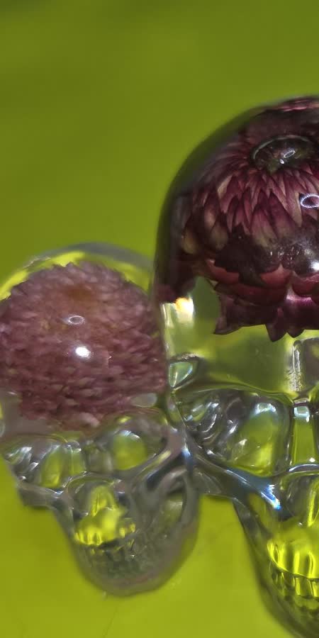 Small clear resin skull with pink dried flower
